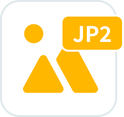 JP2