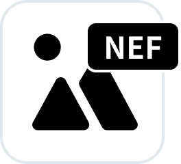 NEF